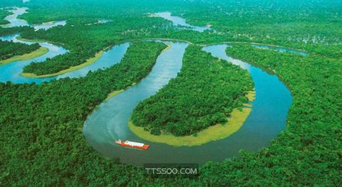 亚马逊平原是世界上最什么的高原(亚马逊平原是世界上最大的热带雨林)